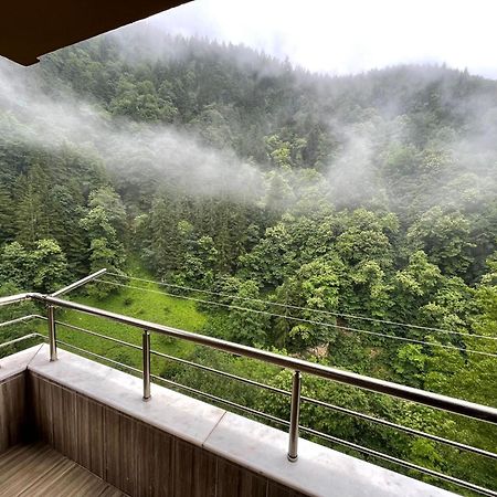 Fairytale Nature House - Uzungoel Δωμάτιο φωτογραφία