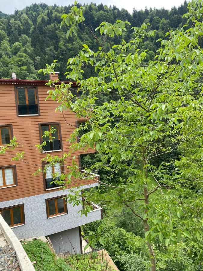 Fairytale Nature House - Uzungoel Εξωτερικό φωτογραφία