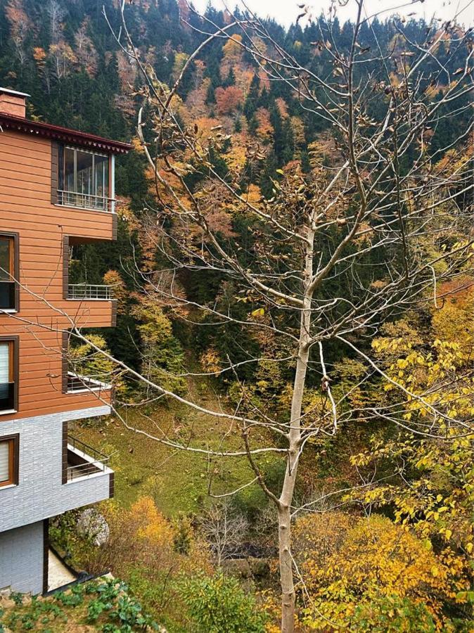 Fairytale Nature House - Uzungoel Εξωτερικό φωτογραφία